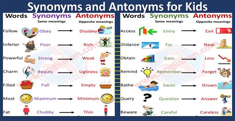shiny antonyms|antonym dictionary for kids.